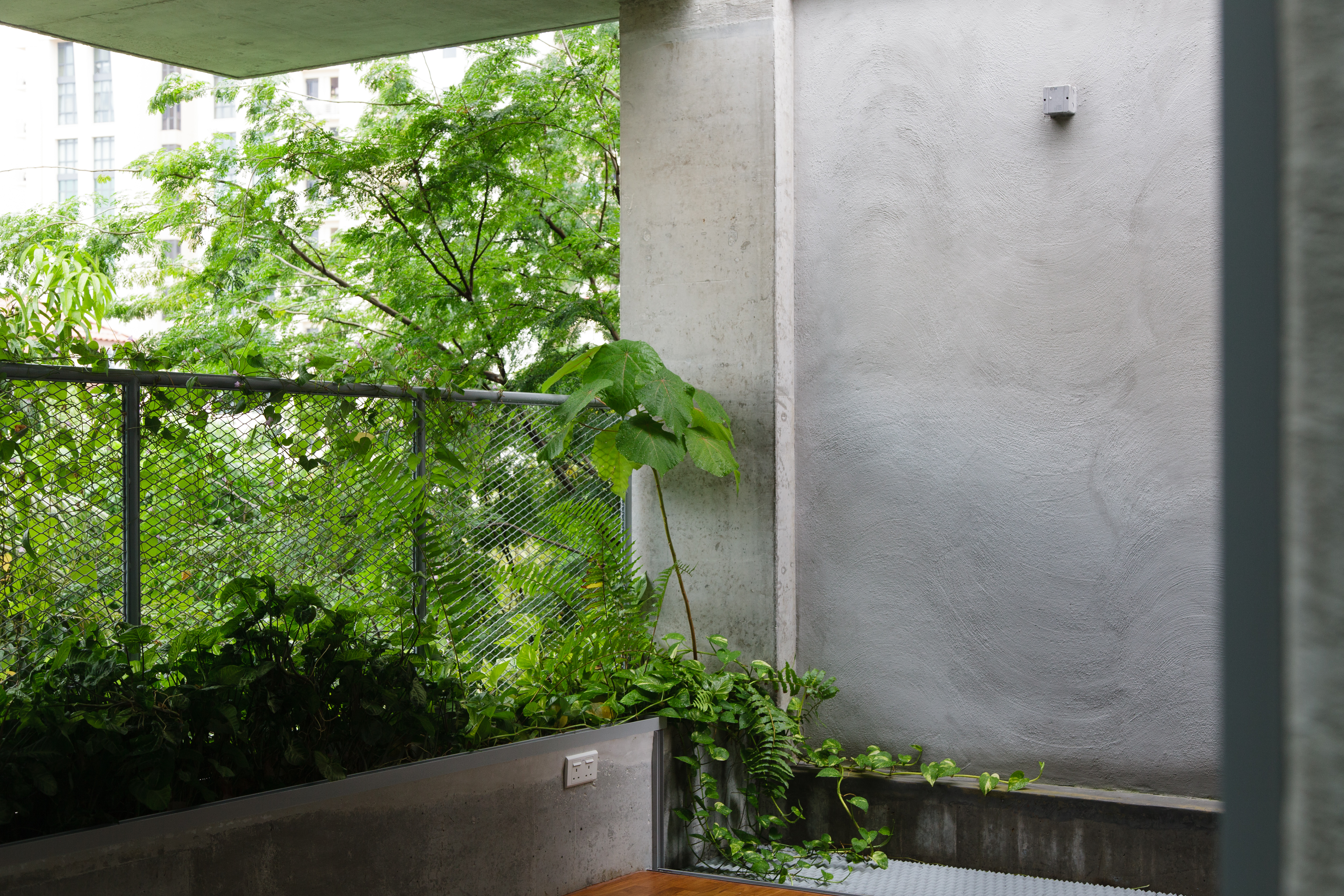 House with Mango Trees open terrace, Image courtesy of Linghao Architects