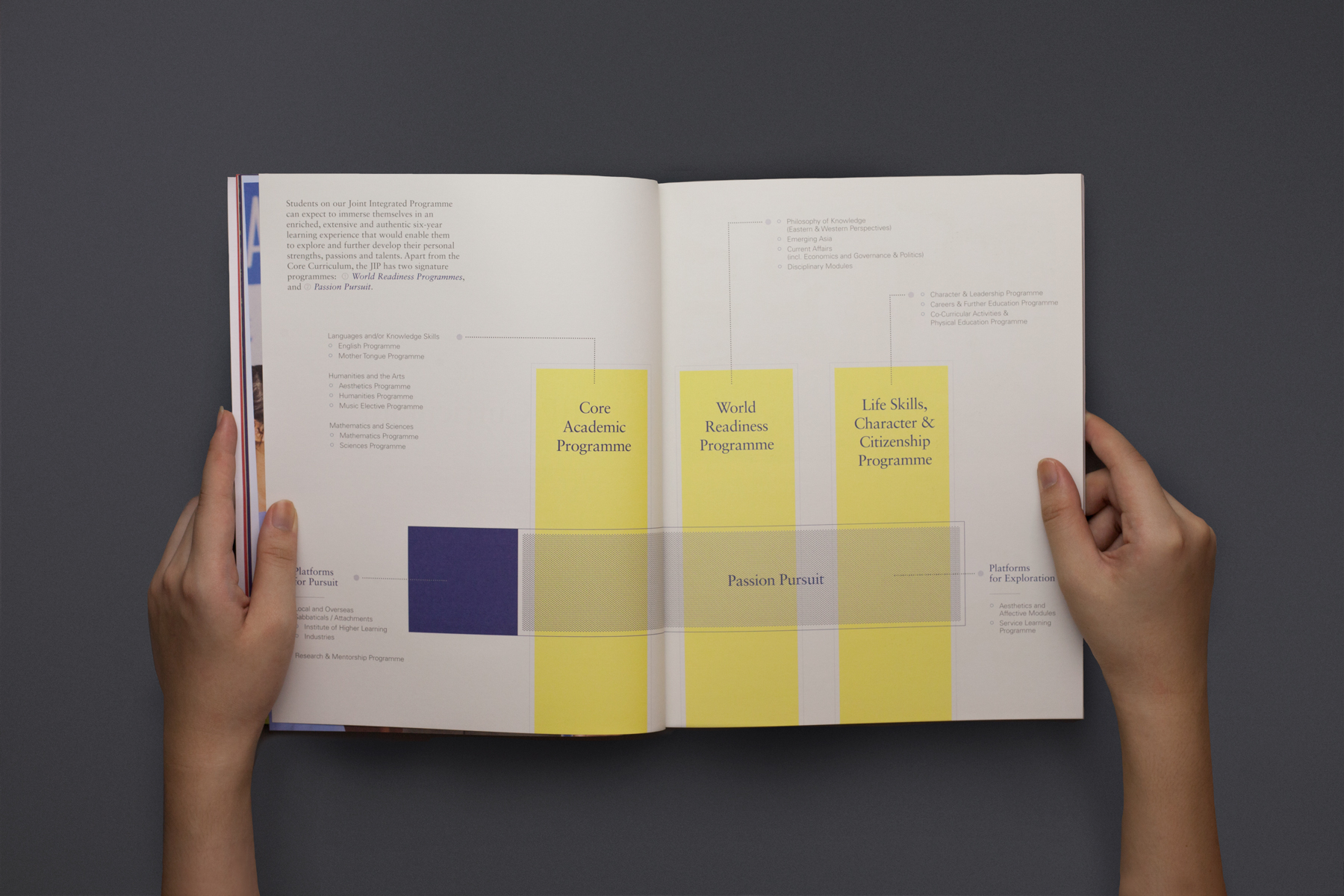 The Joint Integrated Programme Prospectus, publication design, Image courtesy of Do Not Design