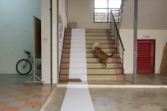 'plain', paper installation,  Chiang Mai.