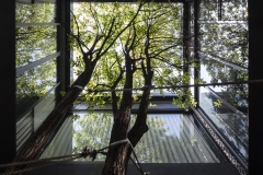 POP-HOUSE-LOWRES_08