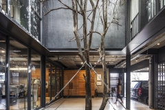 POP-HOUSE-LOWRES_10