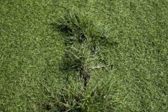 Everything-is-Ephemeral-008