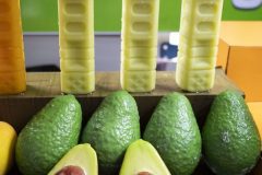 Everything-is-Ephemeral-009