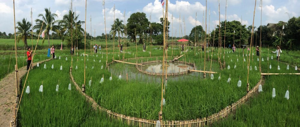 THE RICE FIELD PROJECT - art4d