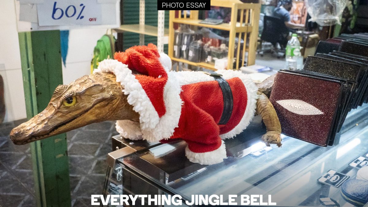 EVERYTHING-JINGLE-BELL