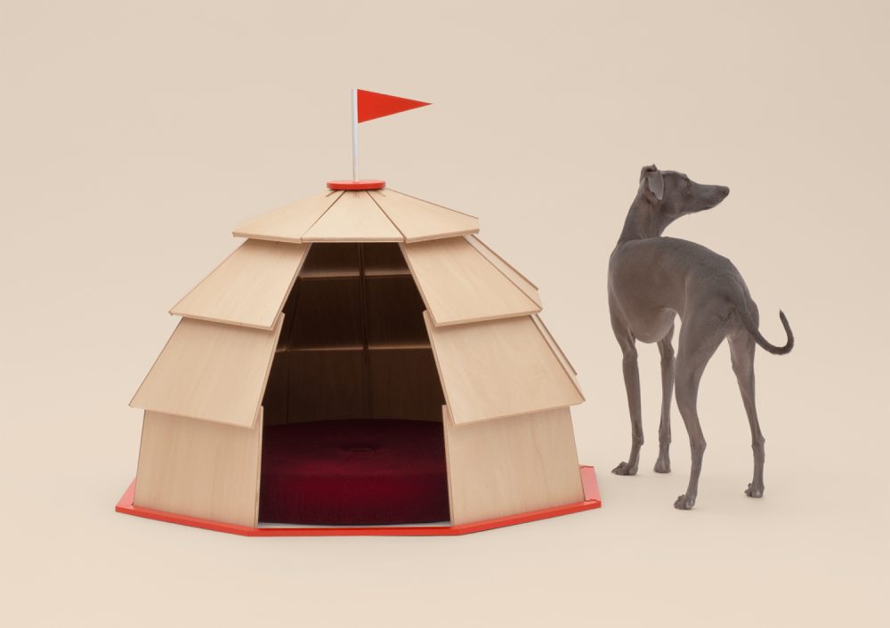 Architecture for Dogs 2024 : Design for both humans and dogs.
