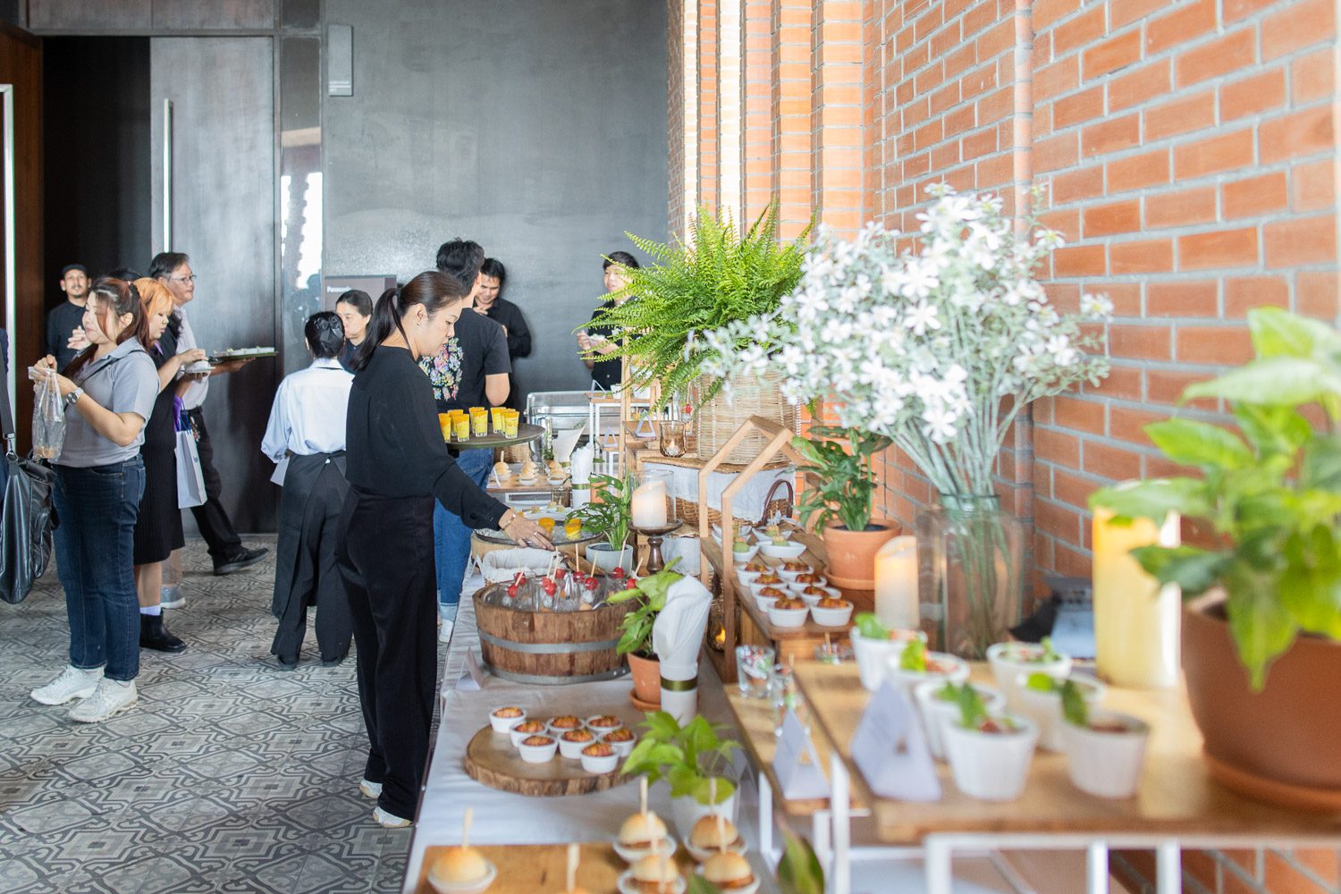 Panasonic Partio Series