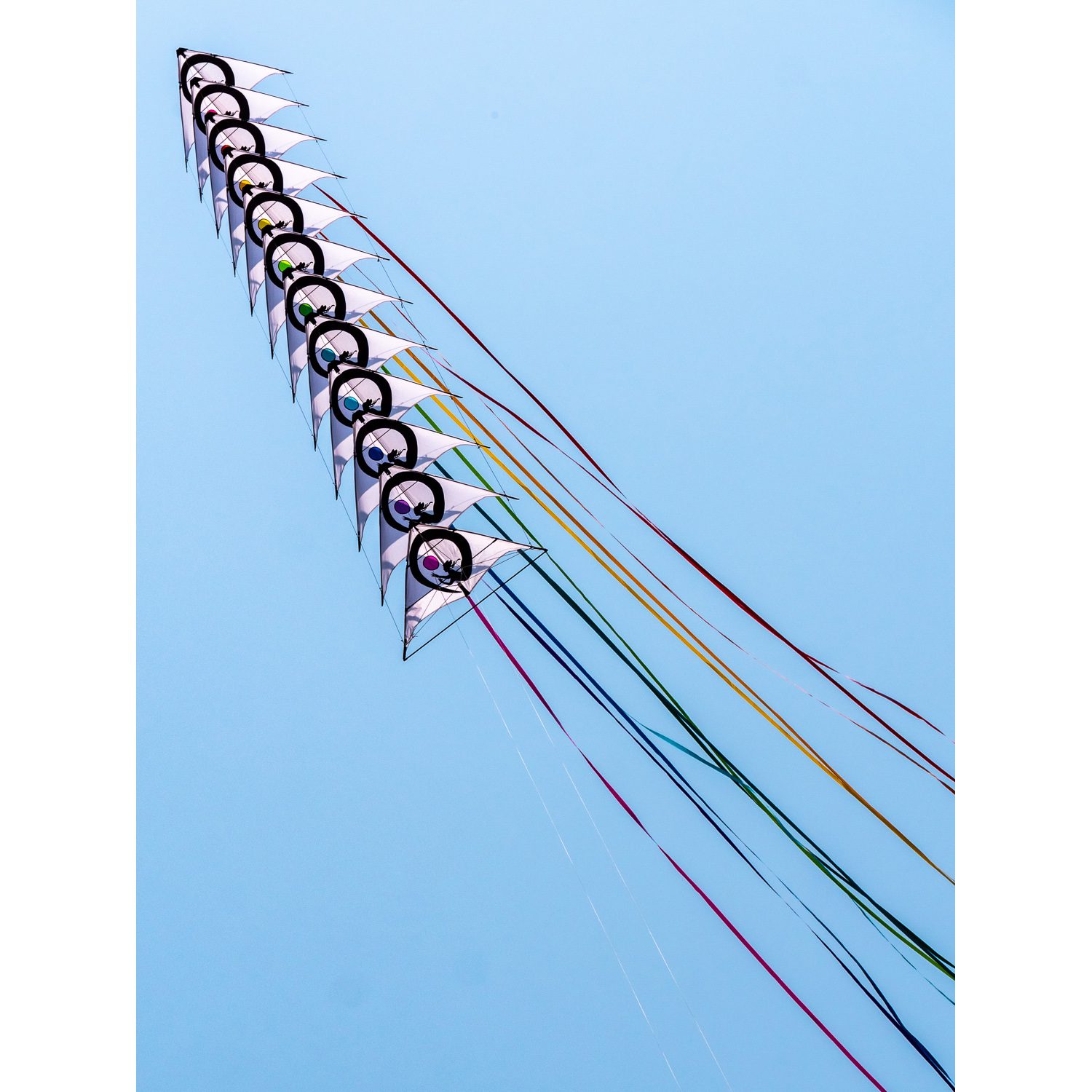 Pattern_WK-017_low res