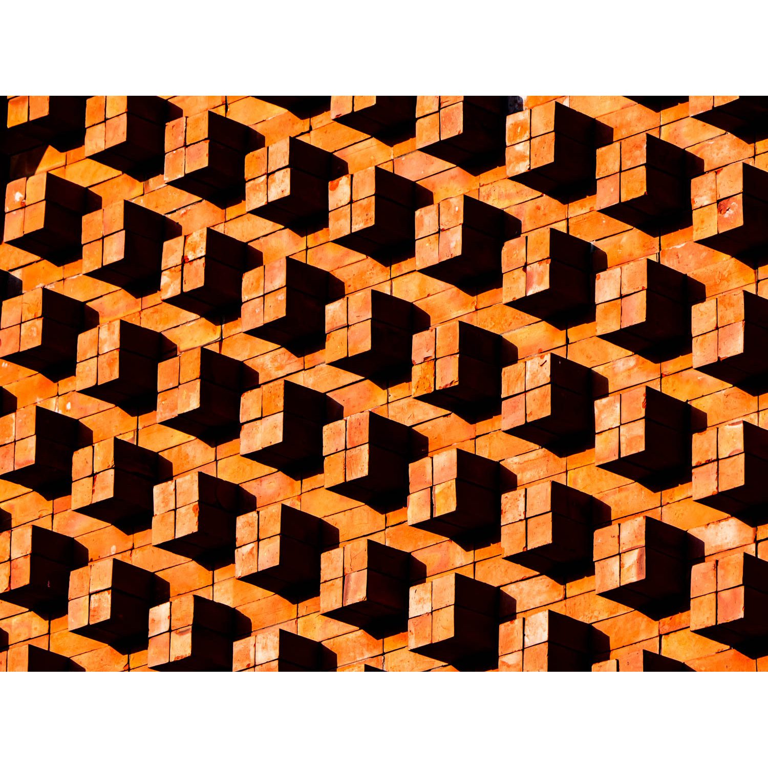 Pattern_WK-019_low res