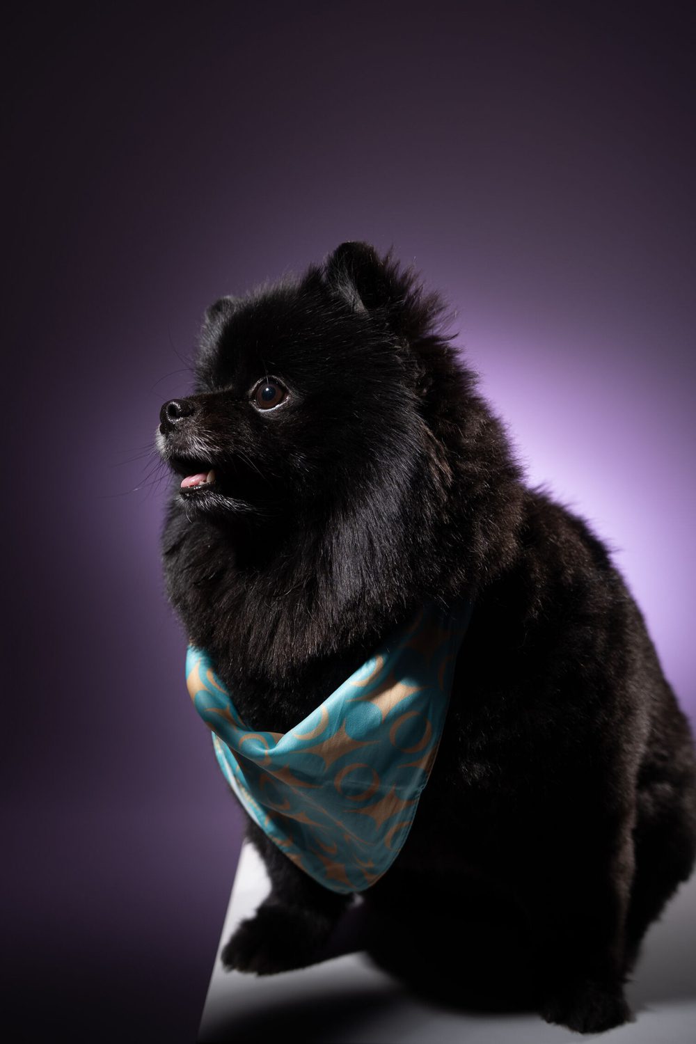 merch_2_optimized_1000_low res