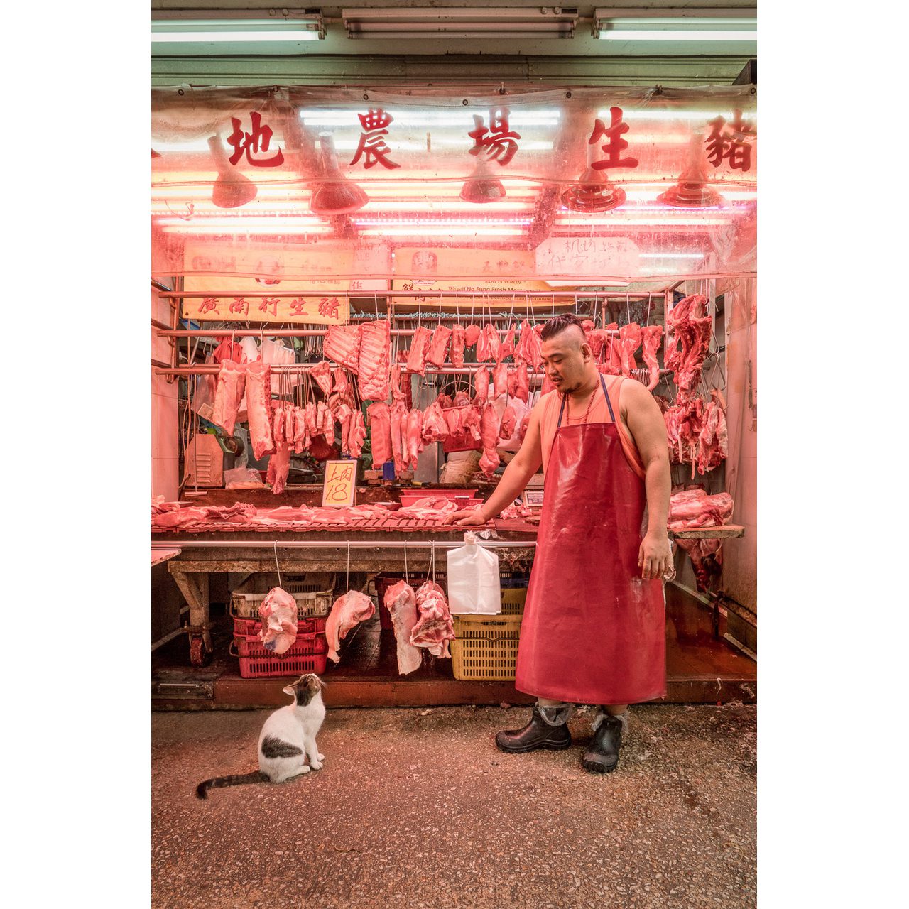 DSC02166-Edit-Edit-Edit-2-Edit-Edit