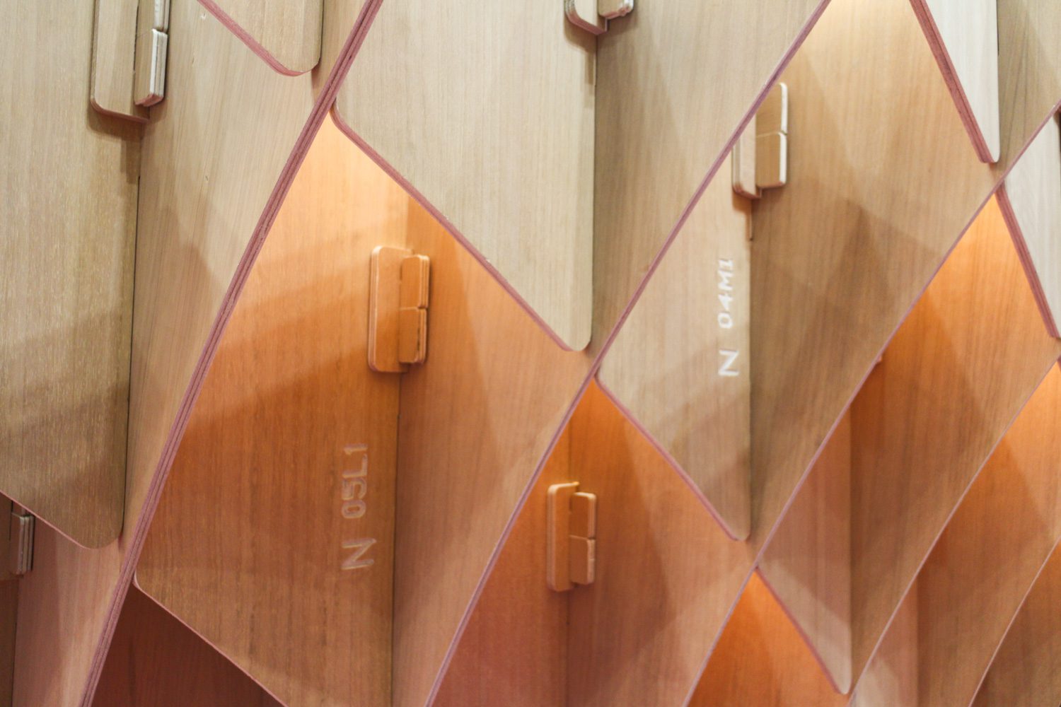 IMG_2768_edit_low res