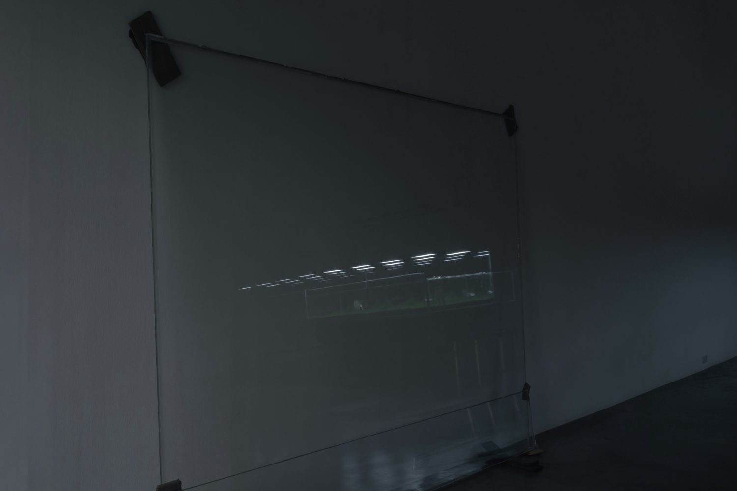 DSC08194_low res_edit