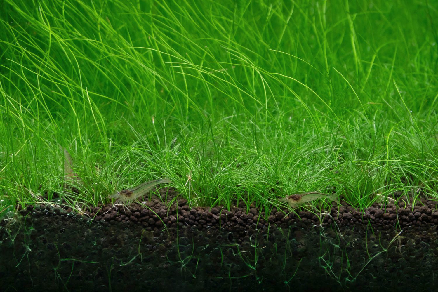 DSC08230_low res_edit