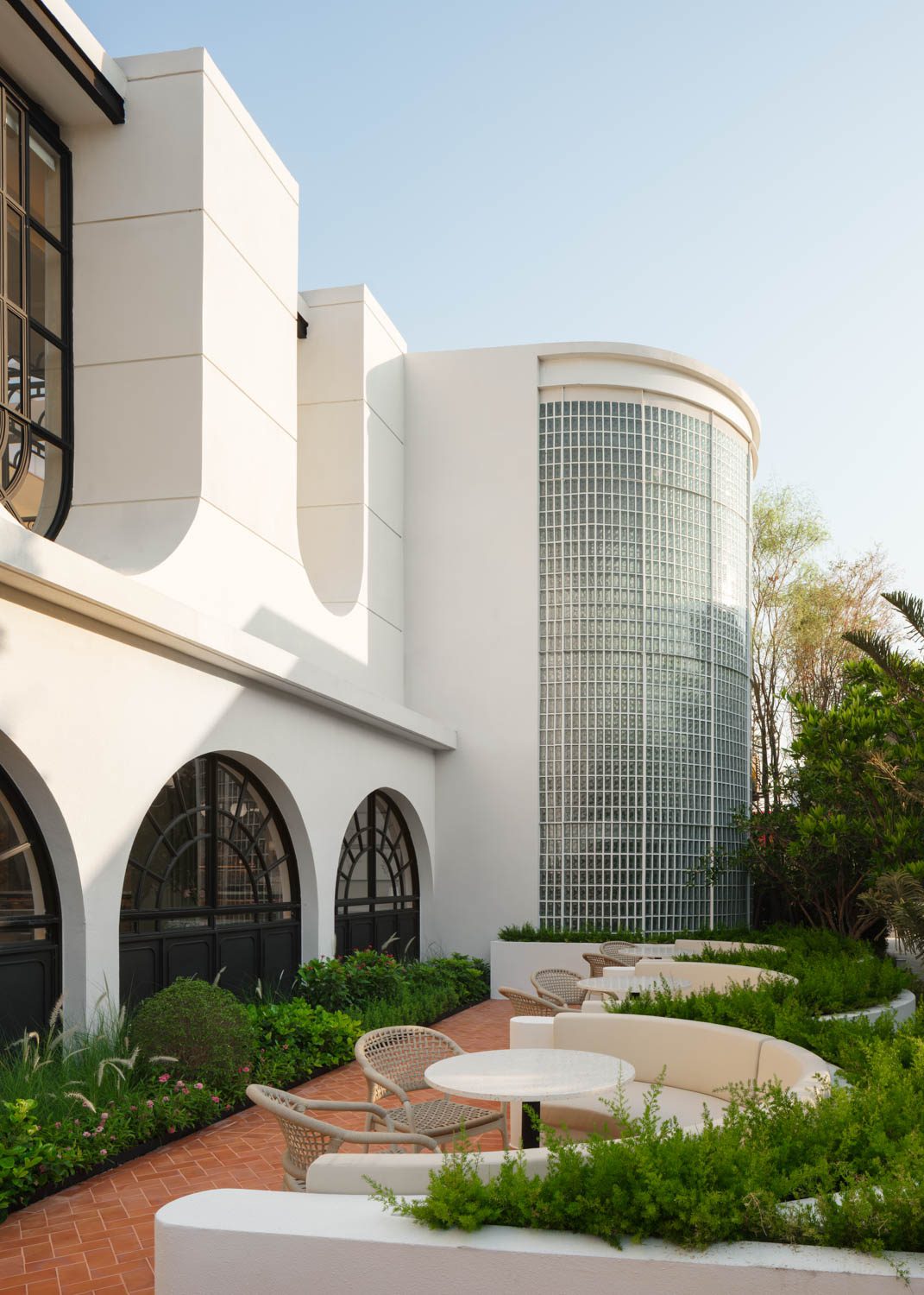 Cin_cin-L01_007_low res