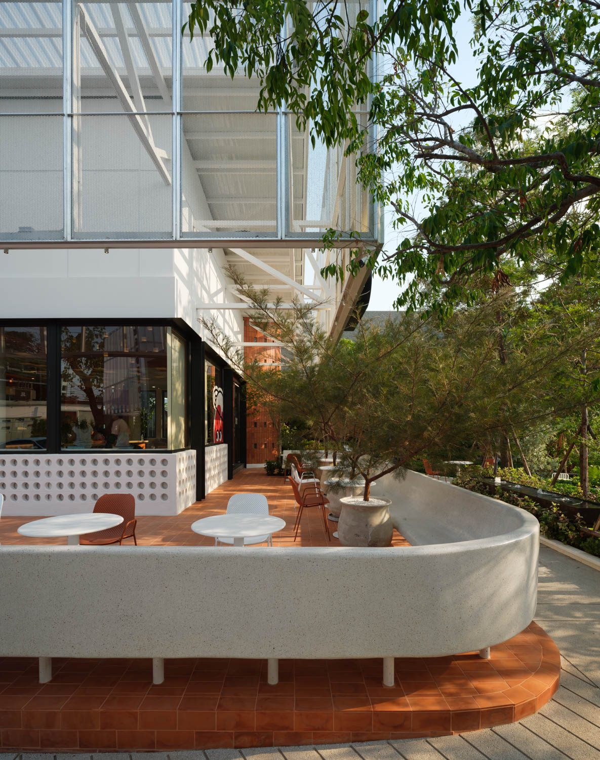 Cin_cin-L01_049_low res