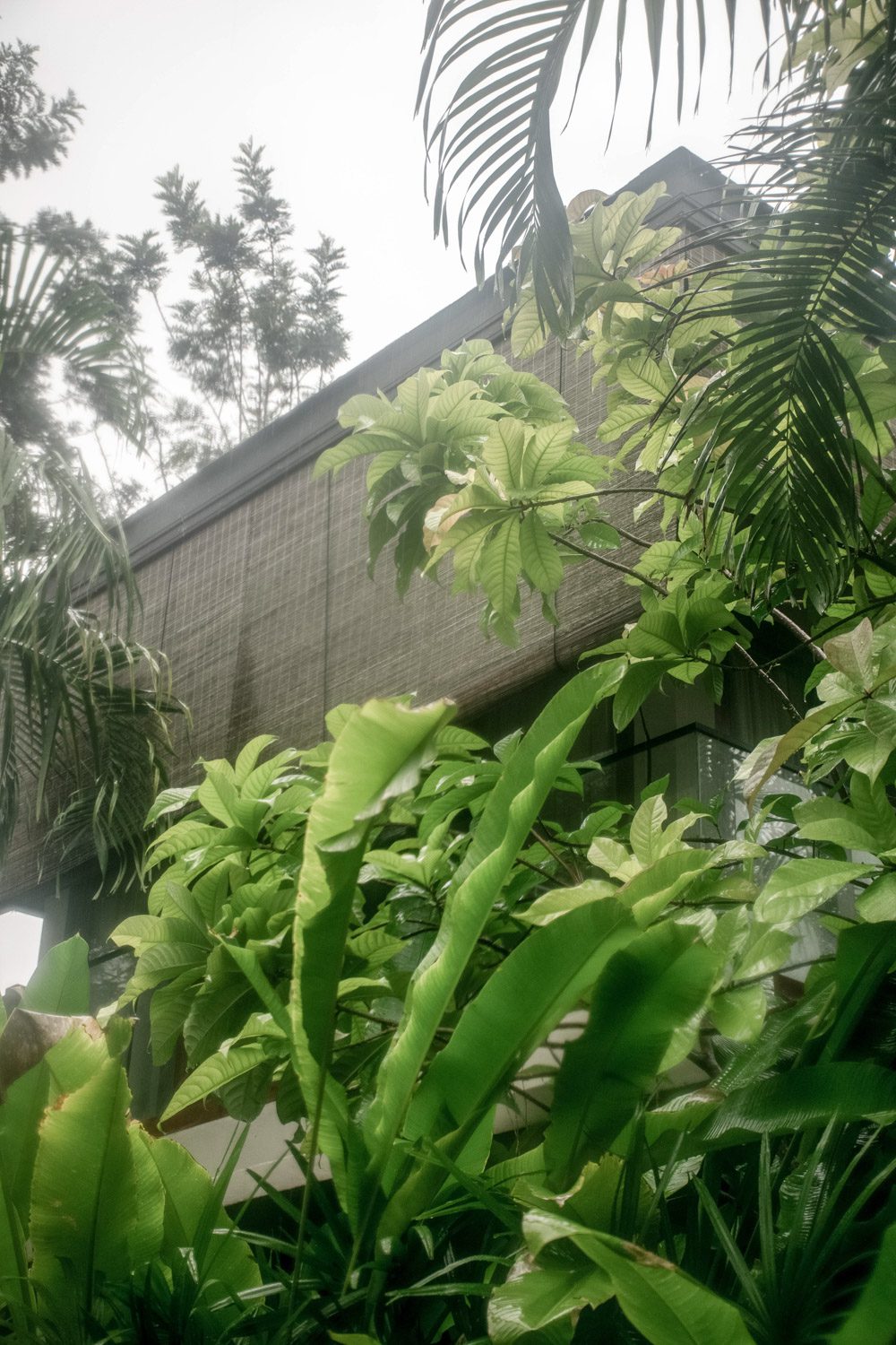 03.2 The Memory Khaoyai_low res