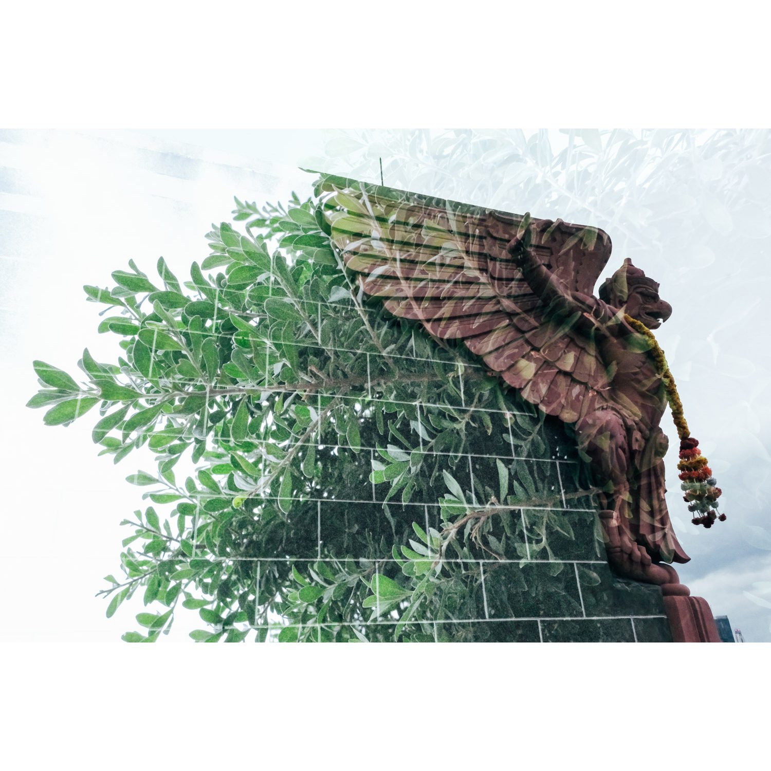 9_DSCF2625 (2)_low res