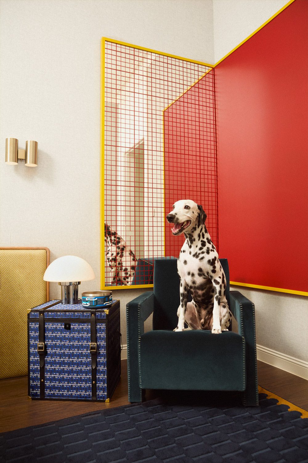 Shot_015-2768-1_low res