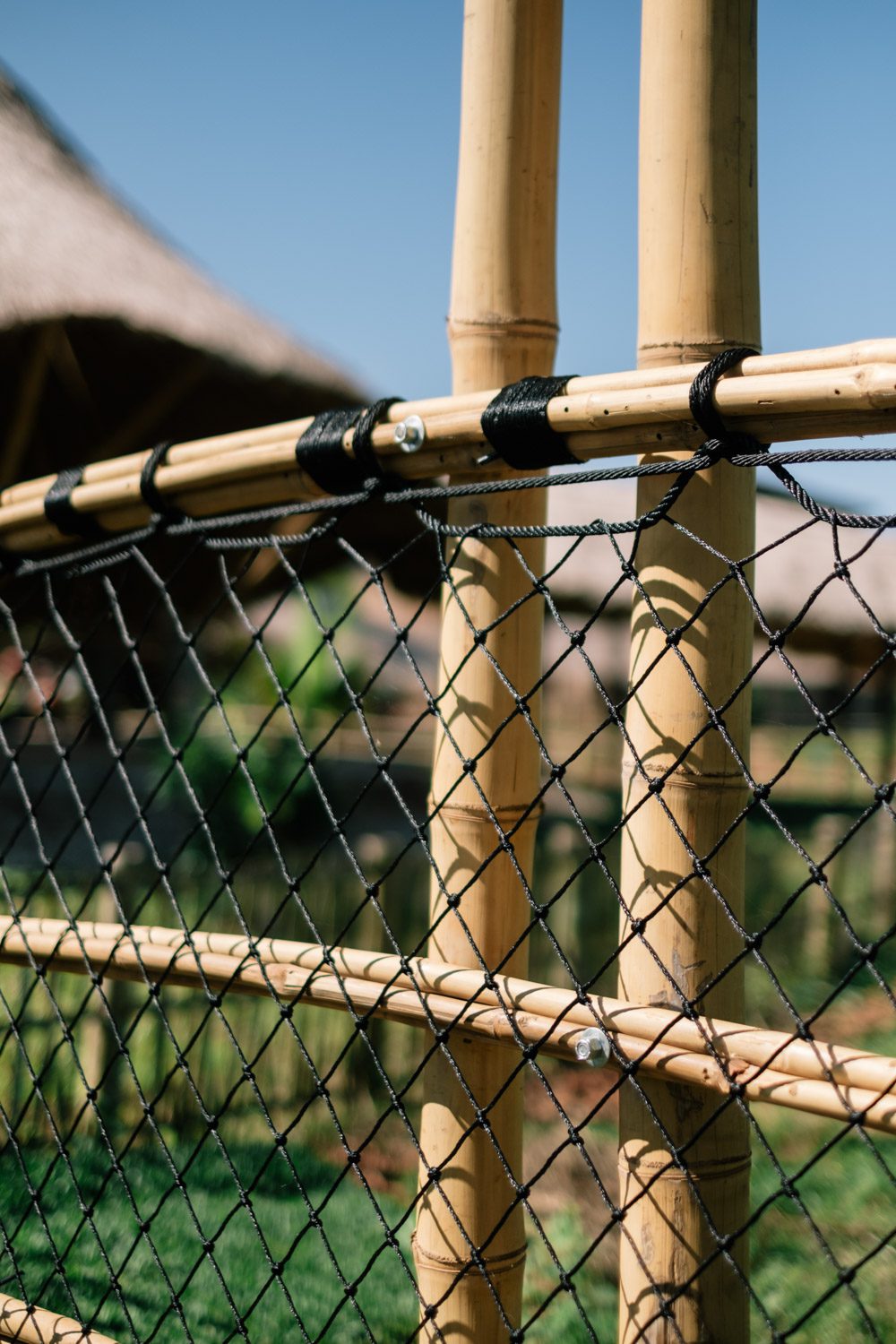 25 Pitisuksa Chiang Rai School_Photo_103_low res