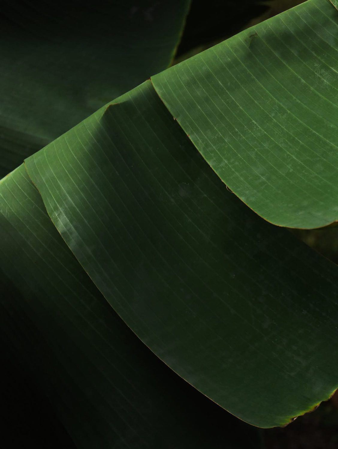 03_IMG_6383_low res
