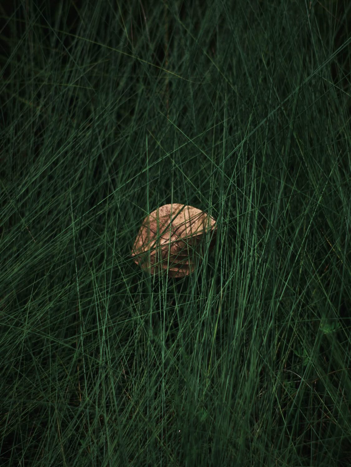 07_IMG_6379_low res