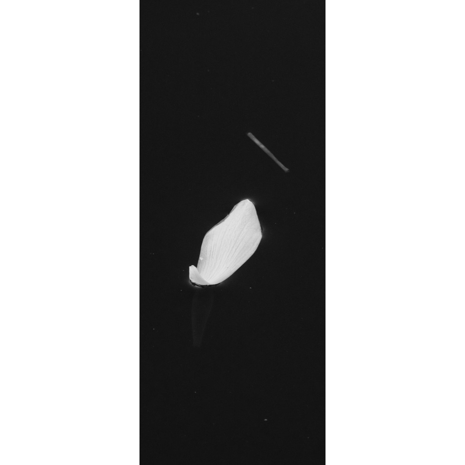 Between_Satita_11_low res